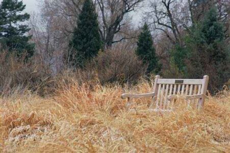 Winter Wonders Image